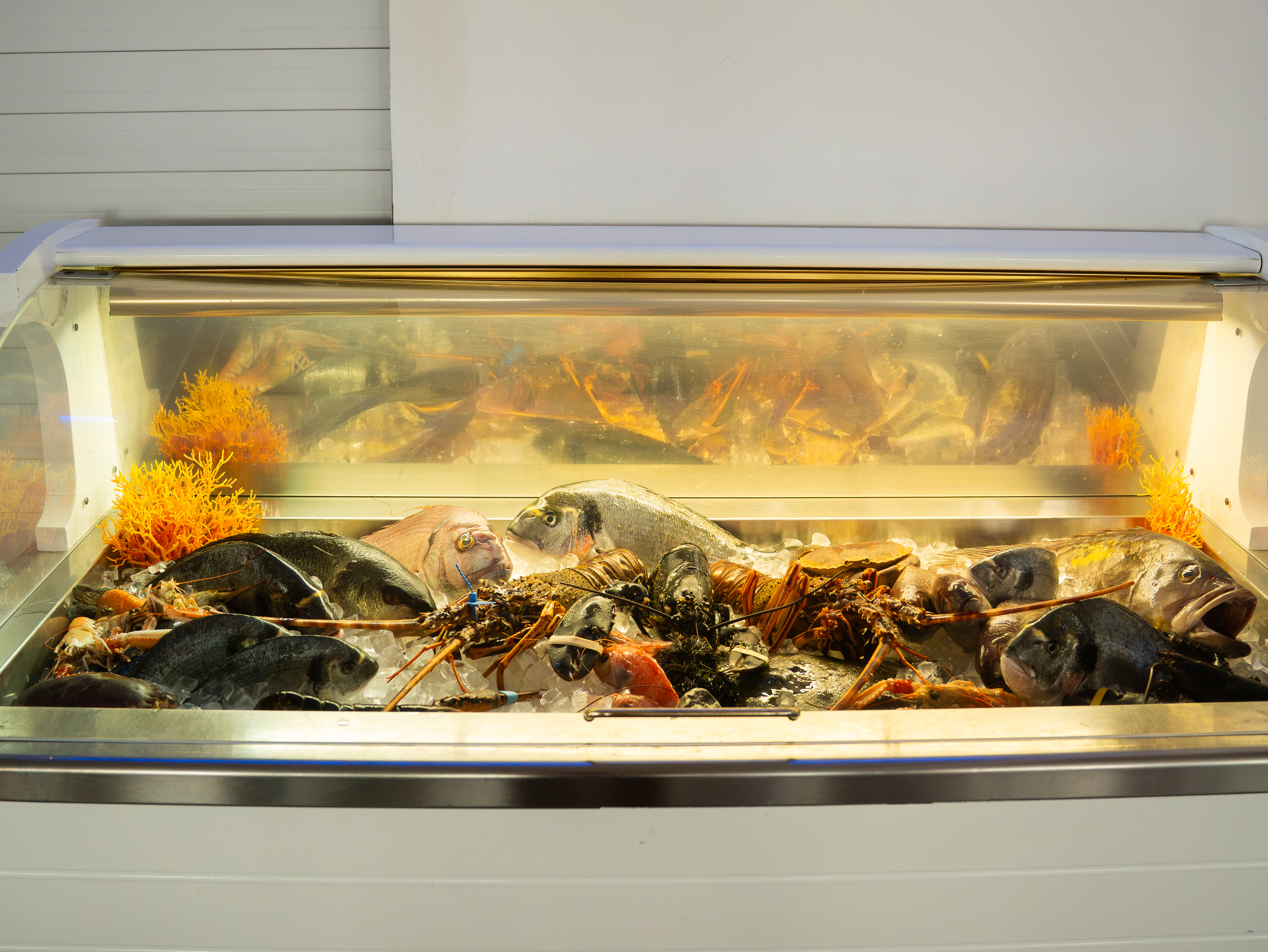 La vetrina del pesce